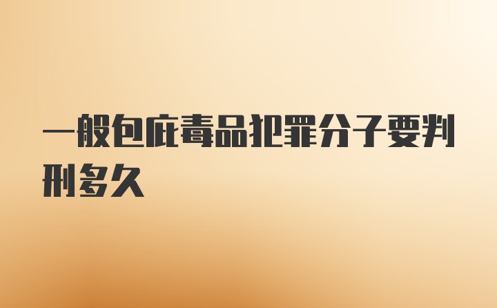 一般包庇毒品犯罪分子要判刑多久