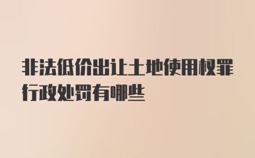 非法低价出让土地使用权罪行政处罚有哪些