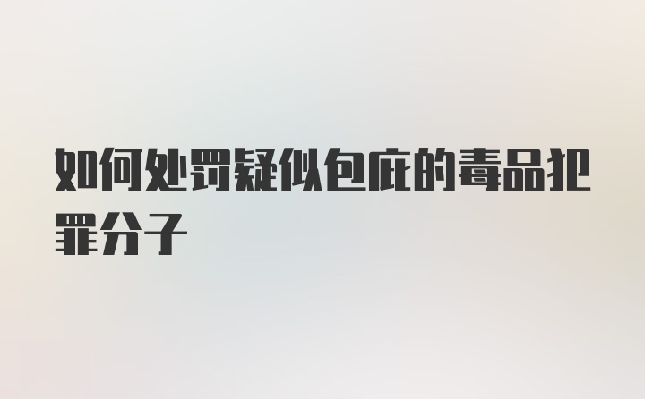 如何处罚疑似包庇的毒品犯罪分子