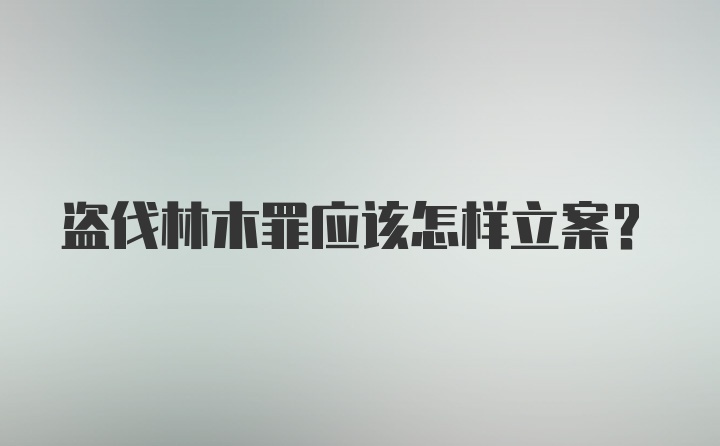 盗伐林木罪应该怎样立案？