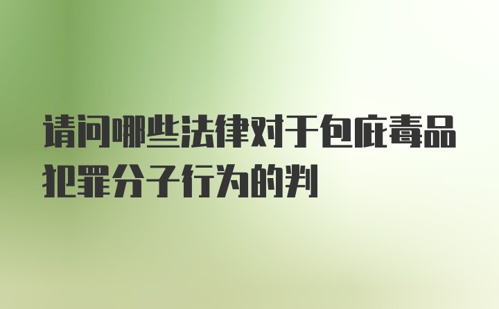 请问哪些法律对于包庇毒品犯罪分子行为的判