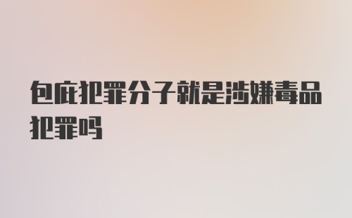 包庇犯罪分子就是涉嫌毒品犯罪吗