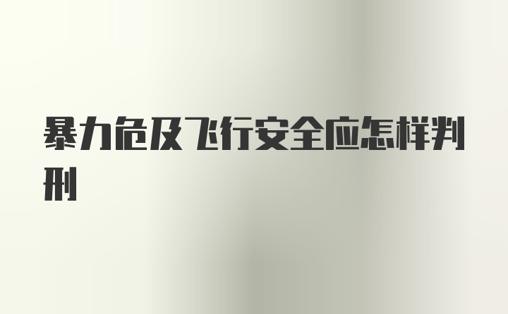 暴力危及飞行安全应怎样判刑