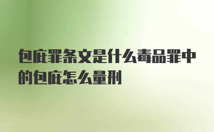 包庇罪条文是什么毒品罪中的包庇怎么量刑