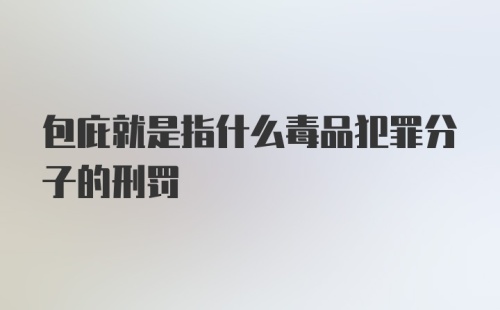 包庇就是指什么毒品犯罪分子的刑罚