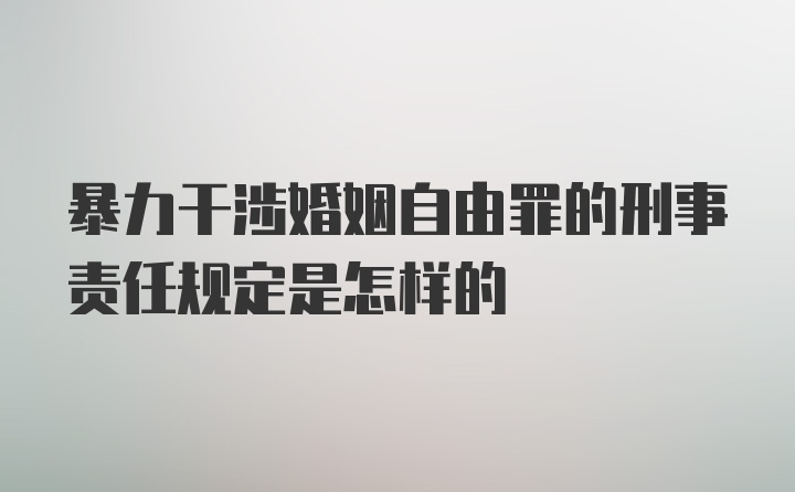 暴力干涉婚姻自由罪的刑事责任规定是怎样的