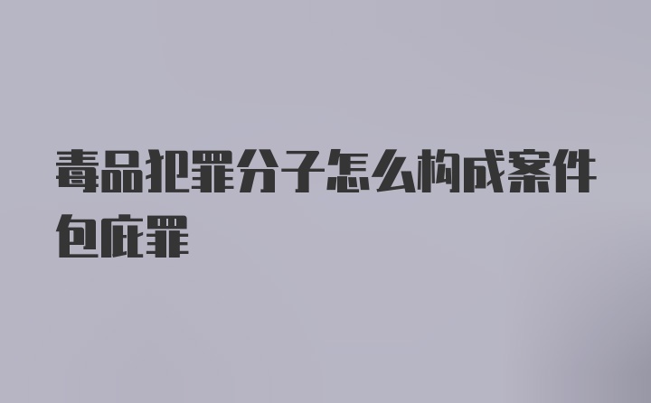 毒品犯罪分子怎么构成案件包庇罪