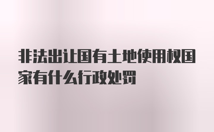 非法出让国有土地使用权国家有什么行政处罚