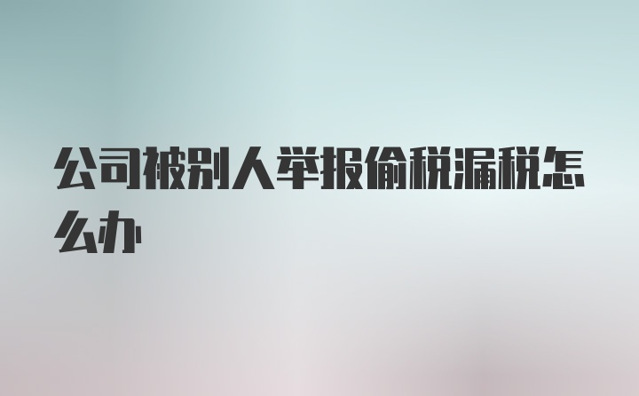 公司被别人举报偷税漏税怎么办