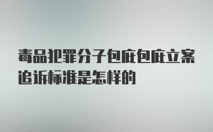 毒品犯罪分子包庇包庇立案追诉标准是怎样的