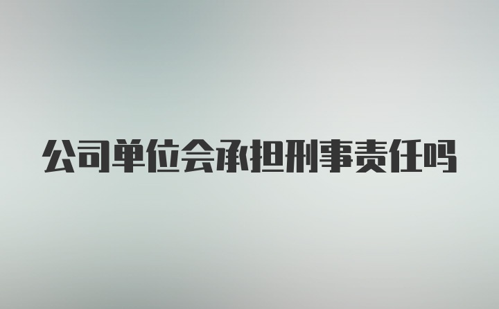 公司单位会承担刑事责任吗