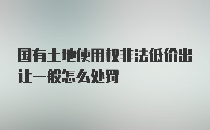 国有土地使用权非法低价出让一般怎么处罚