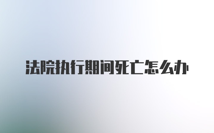 法院执行期间死亡怎么办