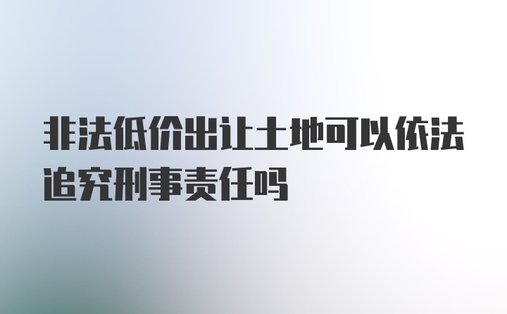 非法低价出让土地可以依法追究刑事责任吗