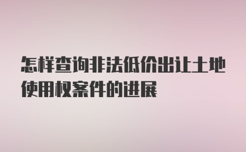 怎样查询非法低价出让土地使用权案件的进展