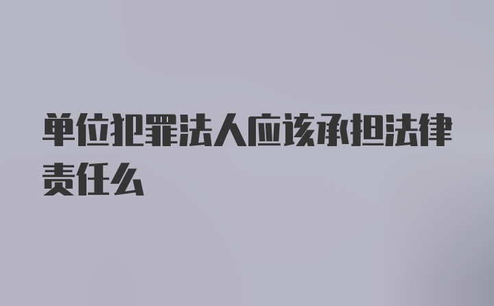 单位犯罪法人应该承担法律责任么