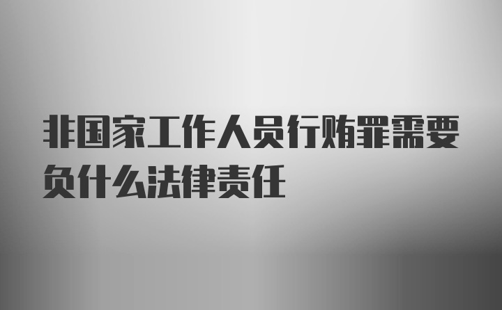 非国家工作人员行贿罪需要负什么法律责任