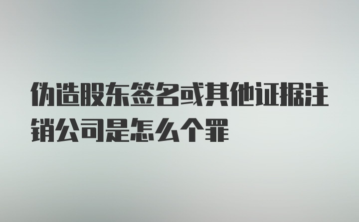 伪造股东签名或其他证据注销公司是怎么个罪