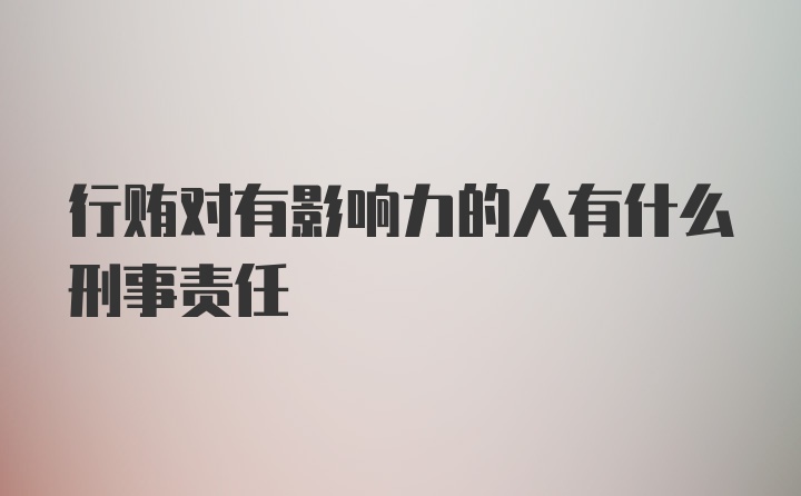 行贿对有影响力的人有什么刑事责任