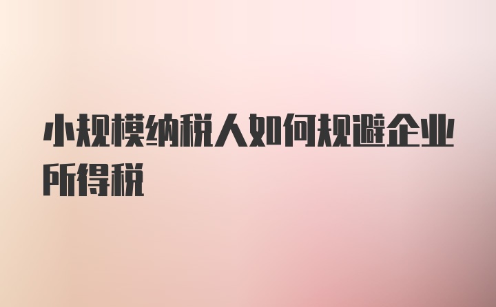 小规模纳税人如何规避企业所得税