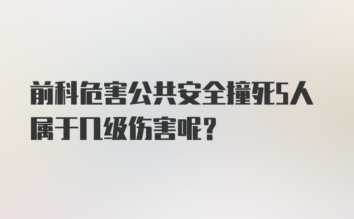 前科危害公共安全撞死5人属于几级伤害呢？