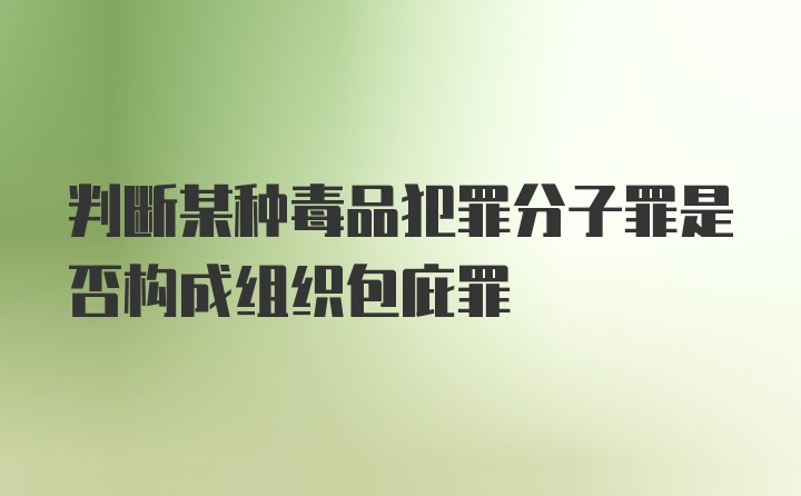 判断某种毒品犯罪分子罪是否构成组织包庇罪