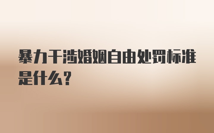 暴力干涉婚姻自由处罚标准是什么？