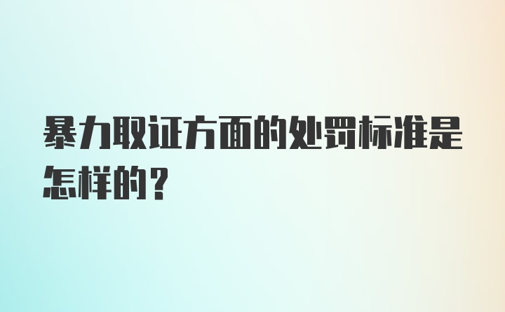 暴力取证方面的处罚标准是怎样的？