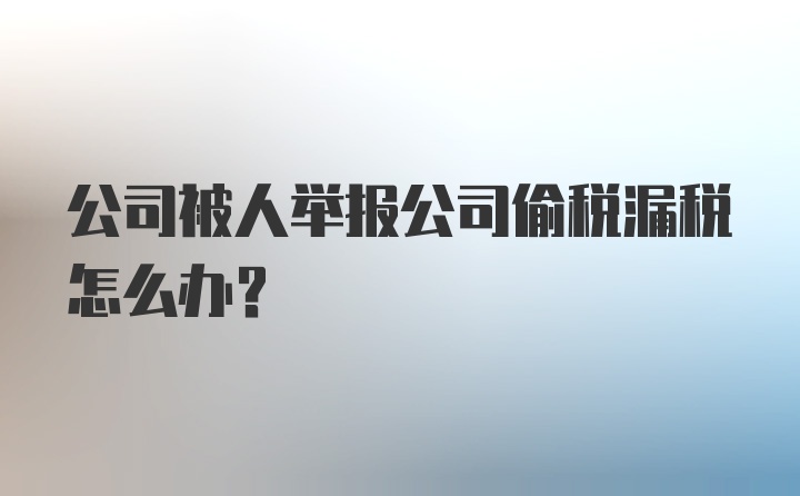 公司被人举报公司偷税漏税怎么办？