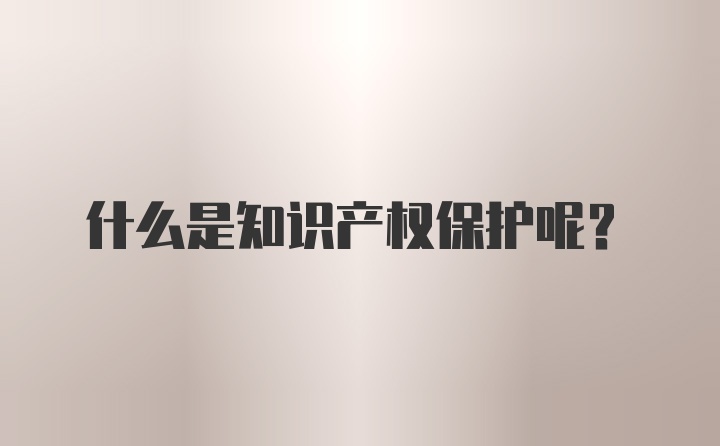 什么是知识产权保护呢？