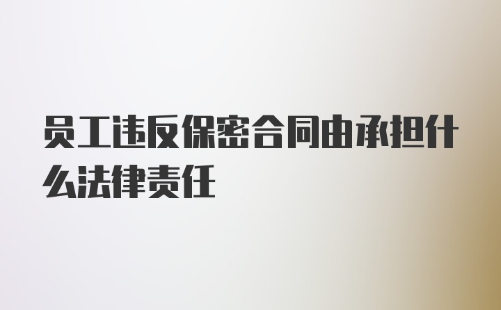 员工违反保密合同由承担什么法律责任