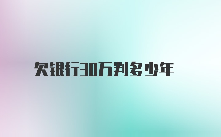 欠银行30万判多少年