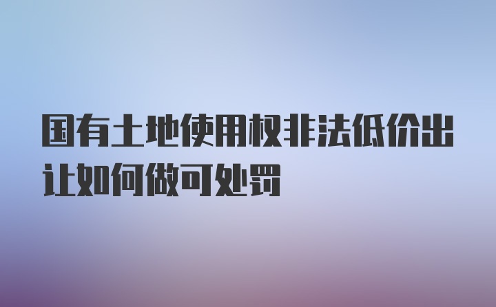 国有土地使用权非法低价出让如何做可处罚