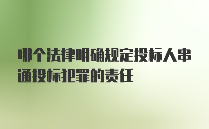 哪个法律明确规定投标人串通投标犯罪的责任