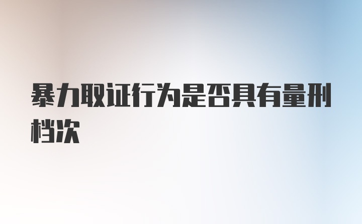 暴力取证行为是否具有量刑档次