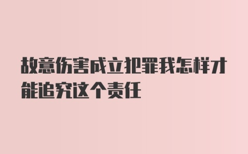 故意伤害成立犯罪我怎样才能追究这个责任