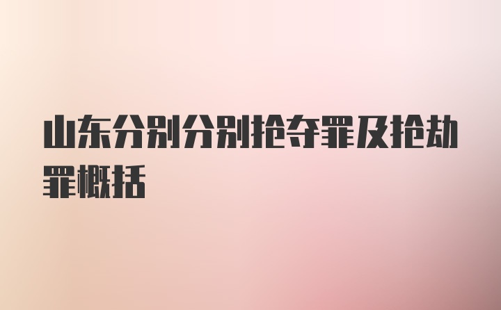 山东分别分别抢夺罪及抢劫罪概括