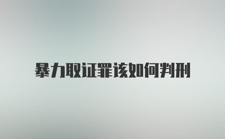 暴力取证罪该如何判刑