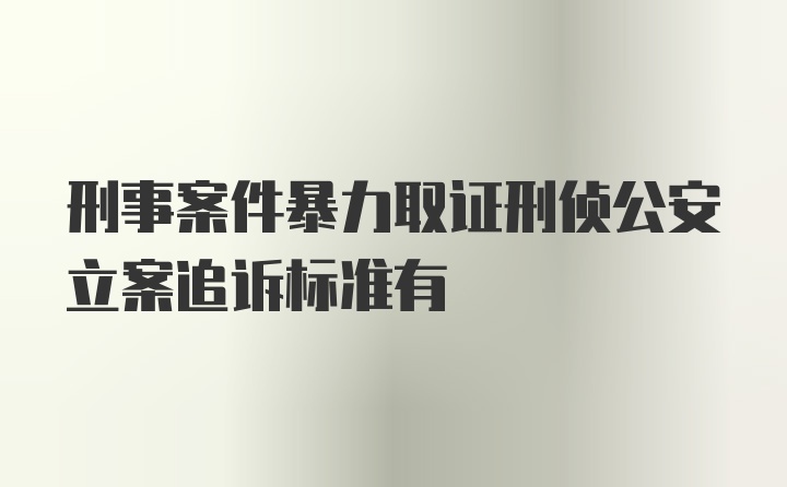 刑事案件暴力取证刑侦公安立案追诉标准有