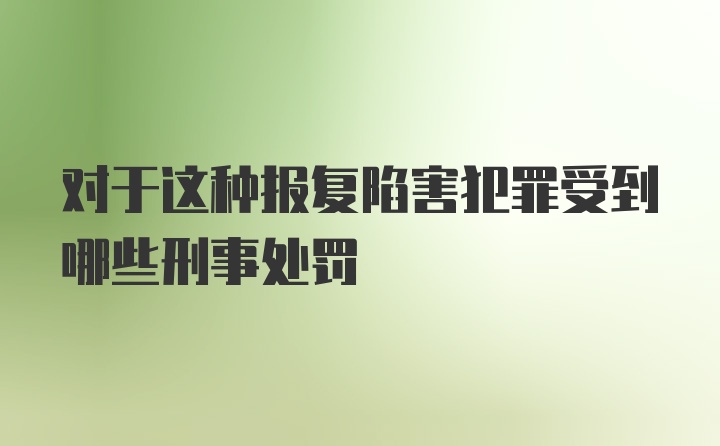 对于这种报复陷害犯罪受到哪些刑事处罚