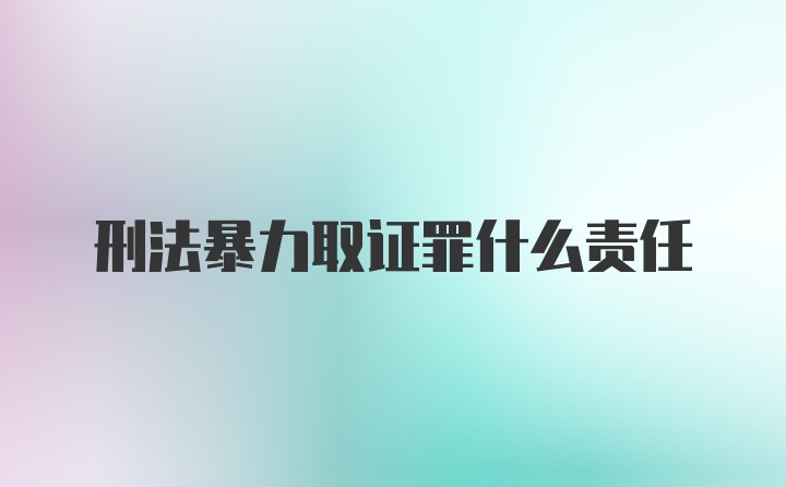 刑法暴力取证罪什么责任