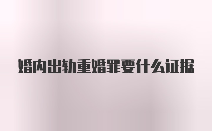 婚内出轨重婚罪要什么证据