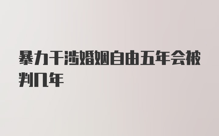 暴力干涉婚姻自由五年会被判几年