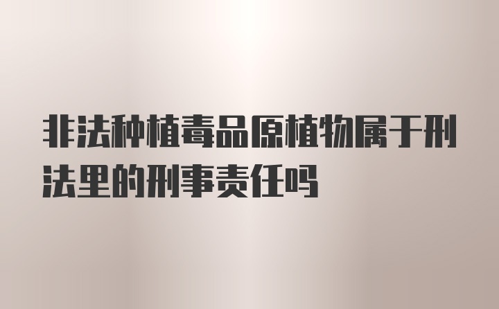 非法种植毒品原植物属于刑法里的刑事责任吗