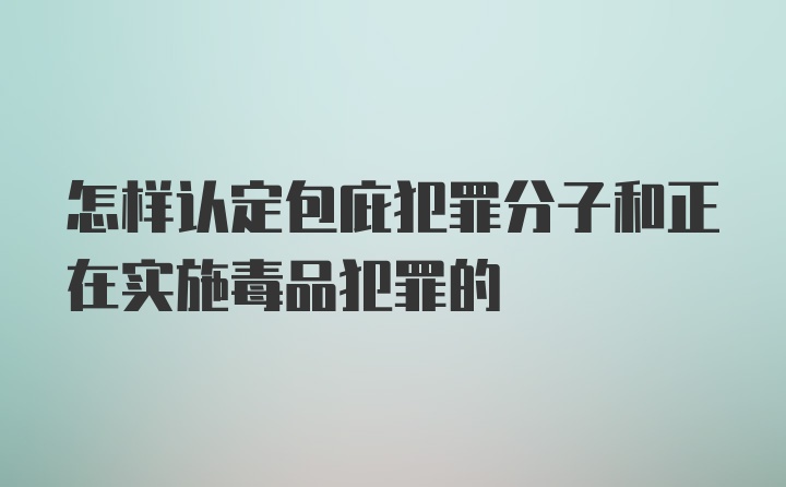 怎样认定包庇犯罪分子和正在实施毒品犯罪的