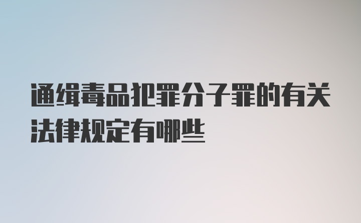 通缉毒品犯罪分子罪的有关法律规定有哪些