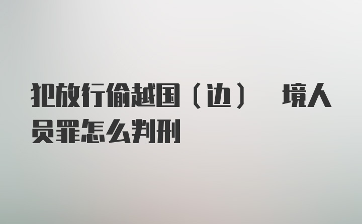 犯放行偷越国(边) 境人员罪怎么判刑