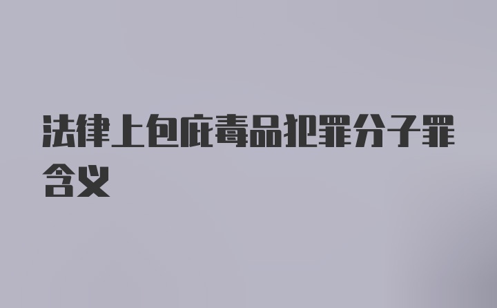 法律上包庇毒品犯罪分子罪含义