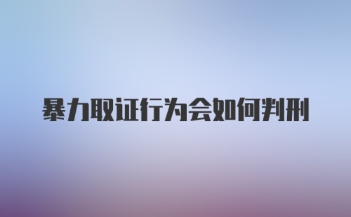 暴力取证行为会如何判刑