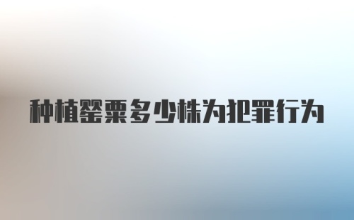 种植罂粟多少株为犯罪行为